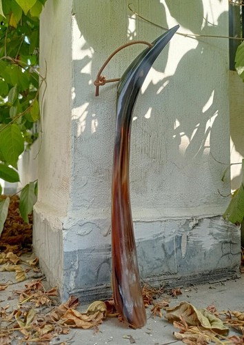 Shoe horn longhandle - shoe,
